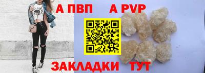 стафф Донской