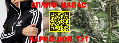 стафф Донской