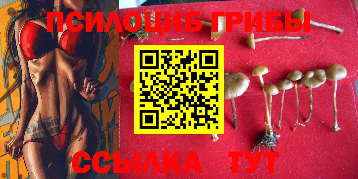 Псилоцибиновые грибы прущие грибы  Вход с VPN  Псилоцибиновые грибы ЛСД  Миасс 
