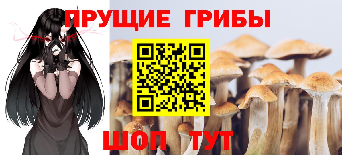 Псилоцибиновые грибы GOLDEN TEACHER Миасс